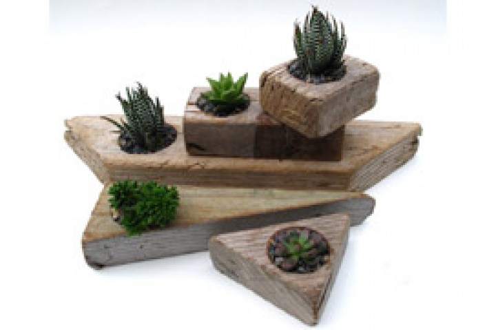 garden wooden planters isolated on white background